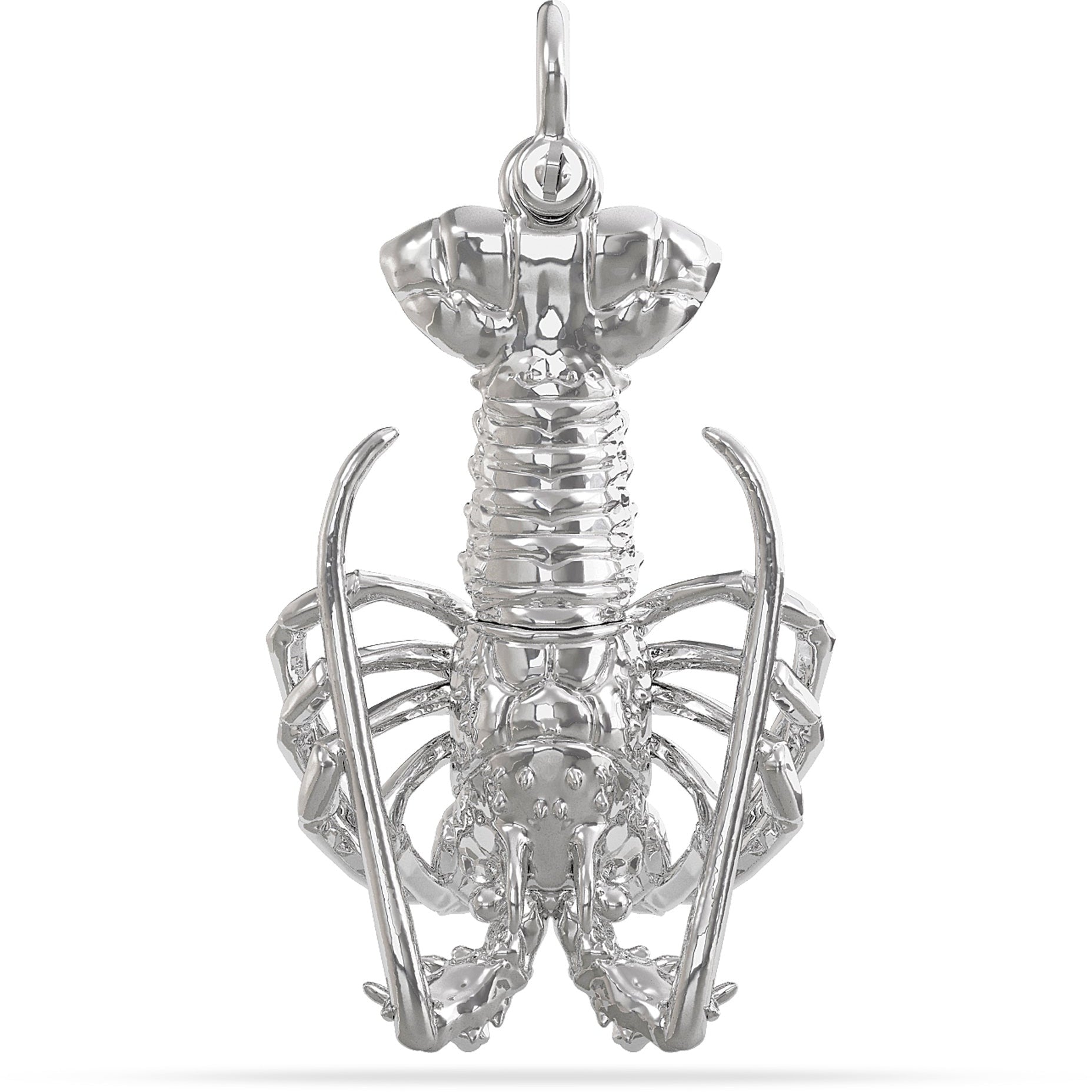 Florida Spiny Lobster (Tail-hung) 32mm (Small) Silver