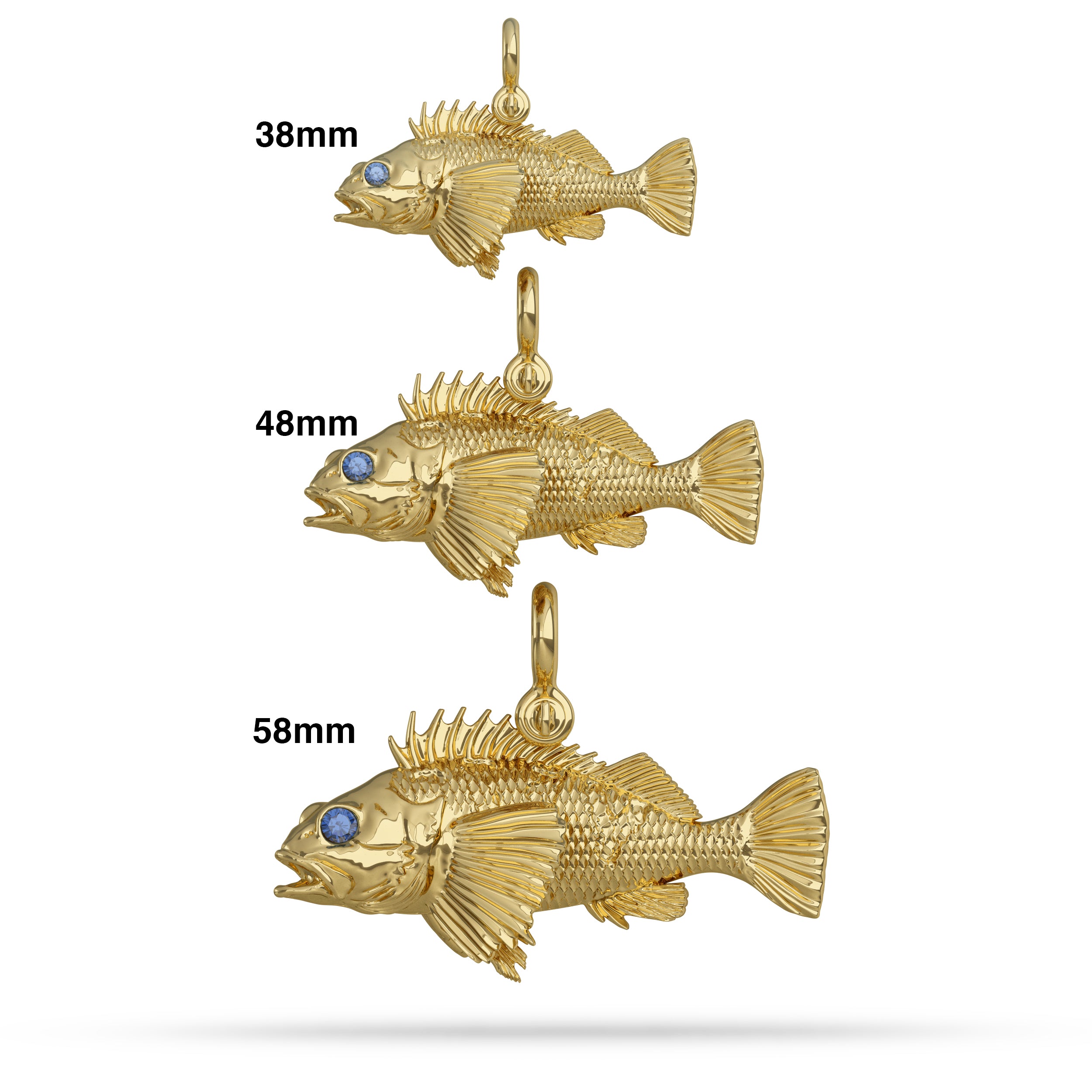 belly hooked fish co Urban Florida Fishing Hooked Fish Market & Kitchen