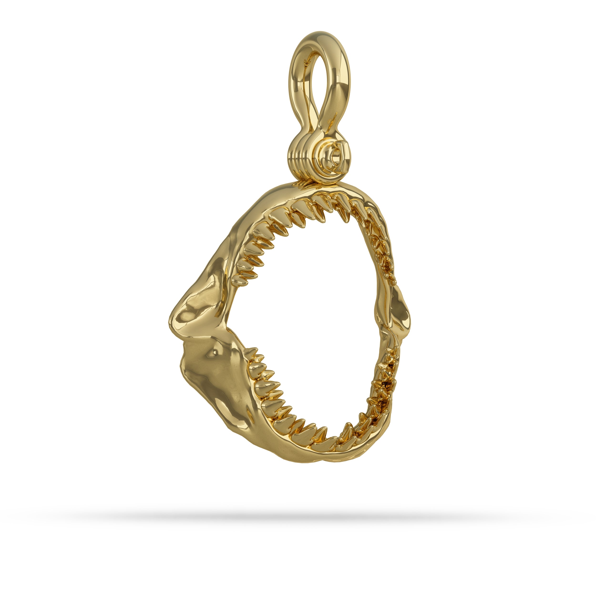 Gold shark tooth pendant on a white background