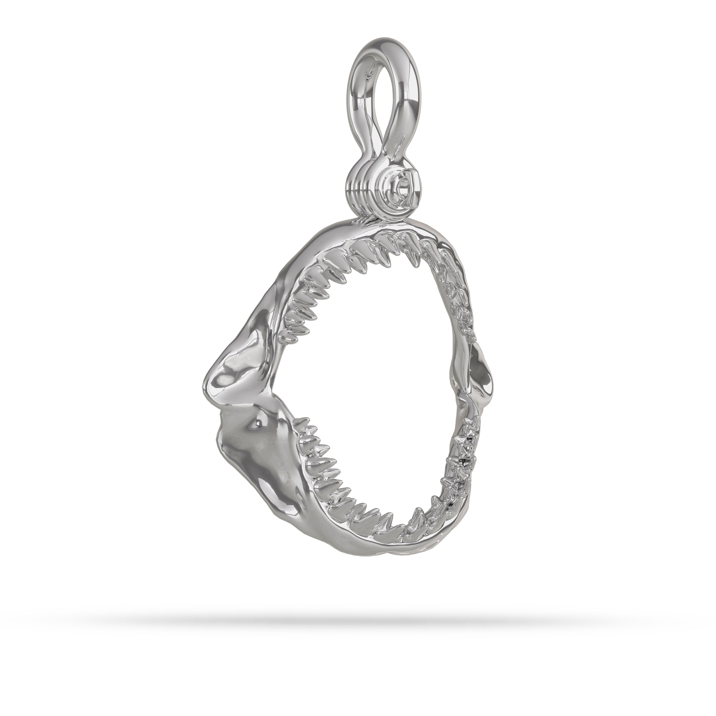 Silver shark tooth pendant on a white background