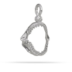 Silver shark tooth pendant on a white background