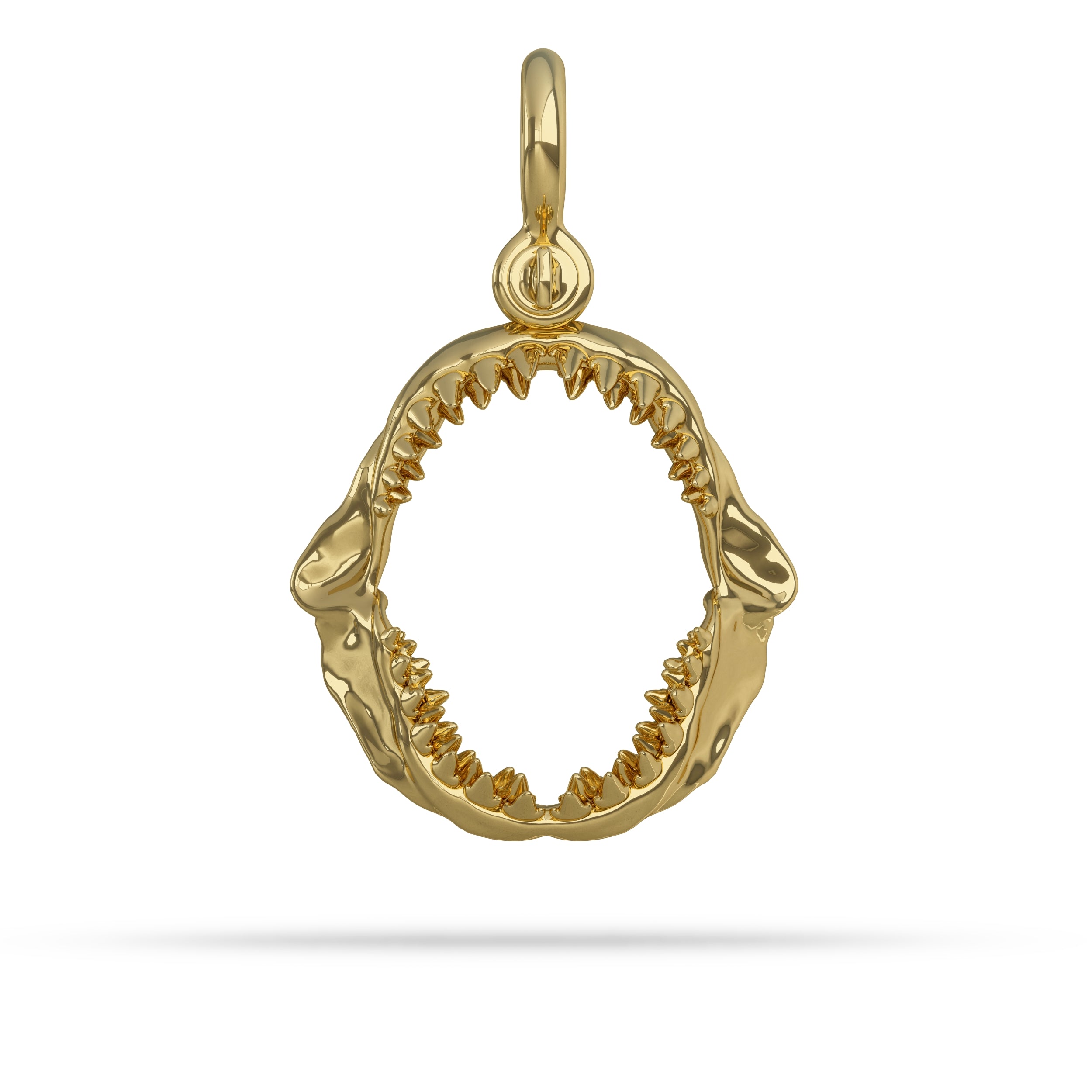 Gold shark tooth pendant on a white background