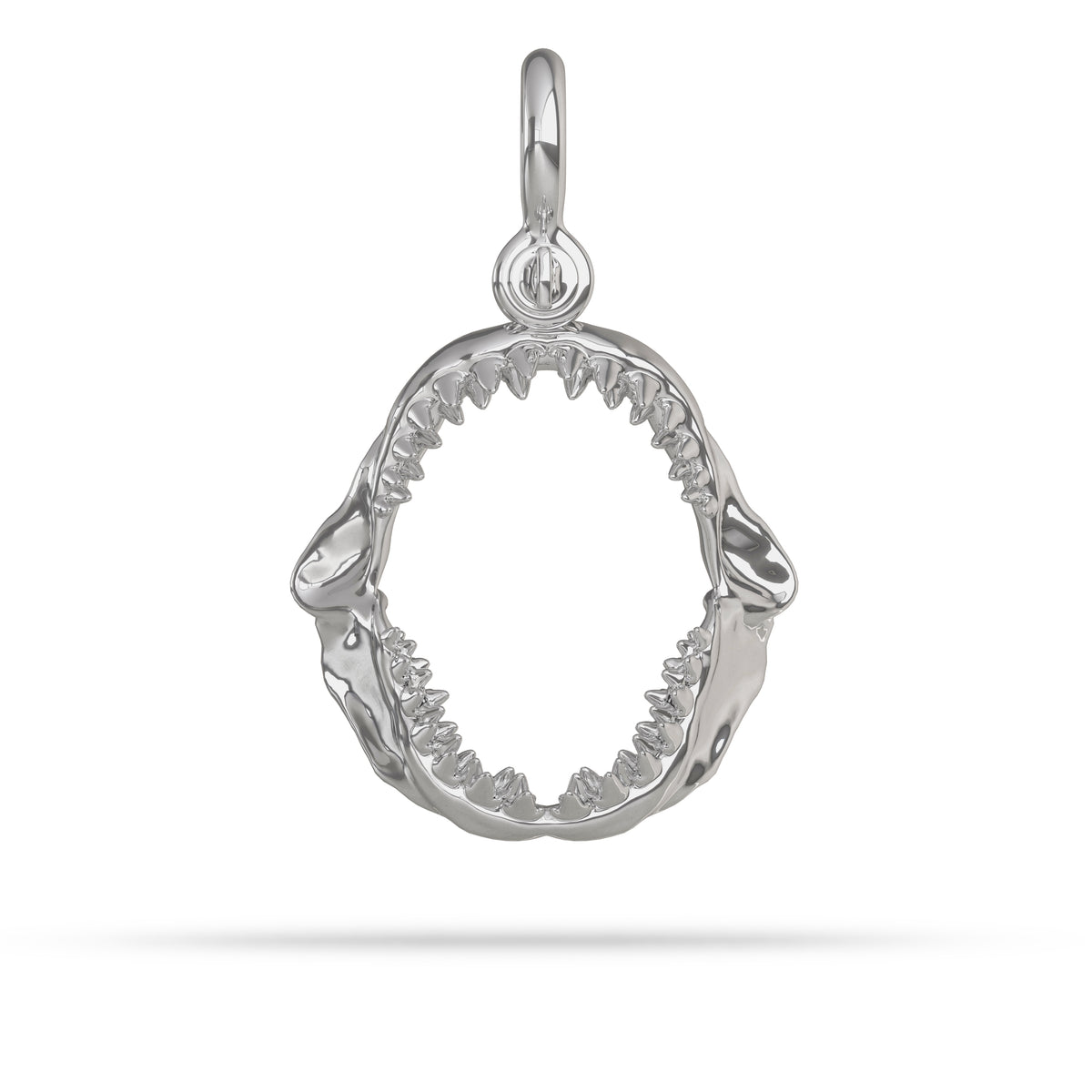 Silver shark tooth pendant on a white background