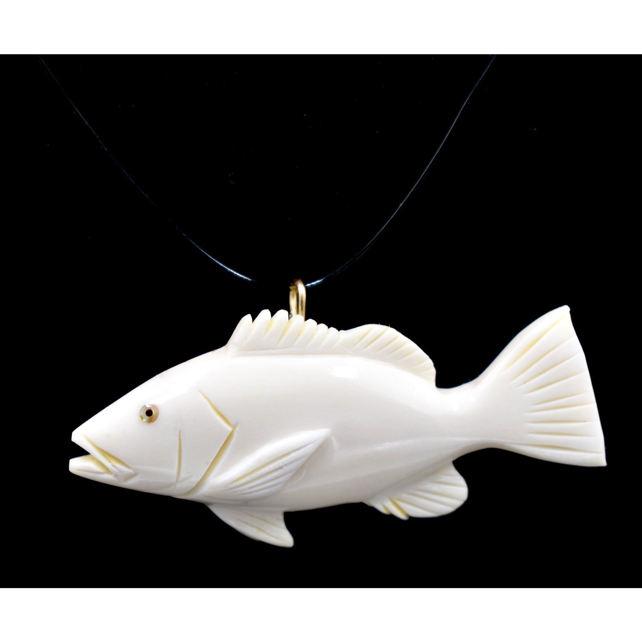 Snapper (Bone) – N.T.J.