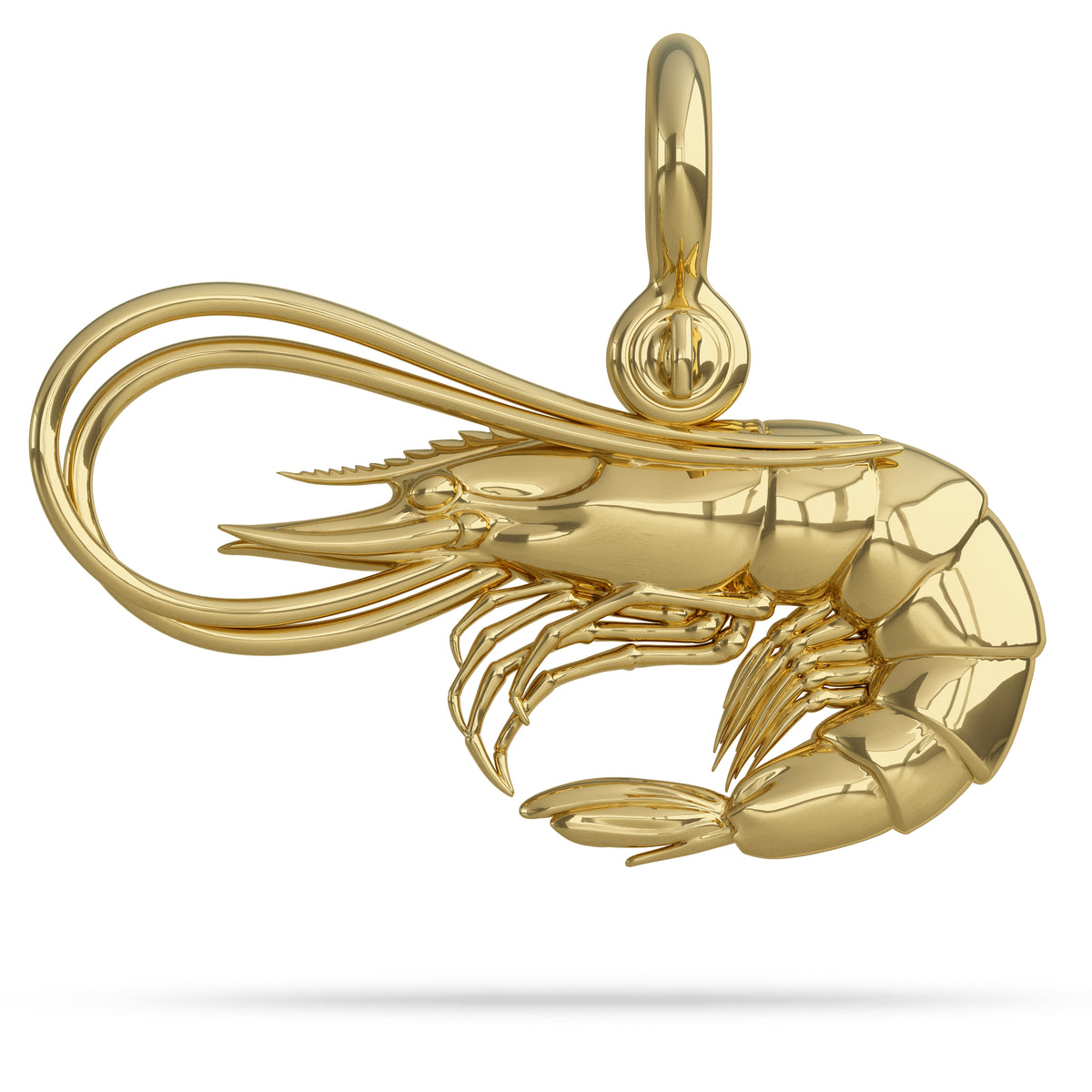 Solid 14k Shrimp Pendant High Polished Mirror Finished Center Hung on A Mariner Shackle Bail Custom Designed By Nautical Treasure Jewelry In The Florida Keys Key West Shrimper 