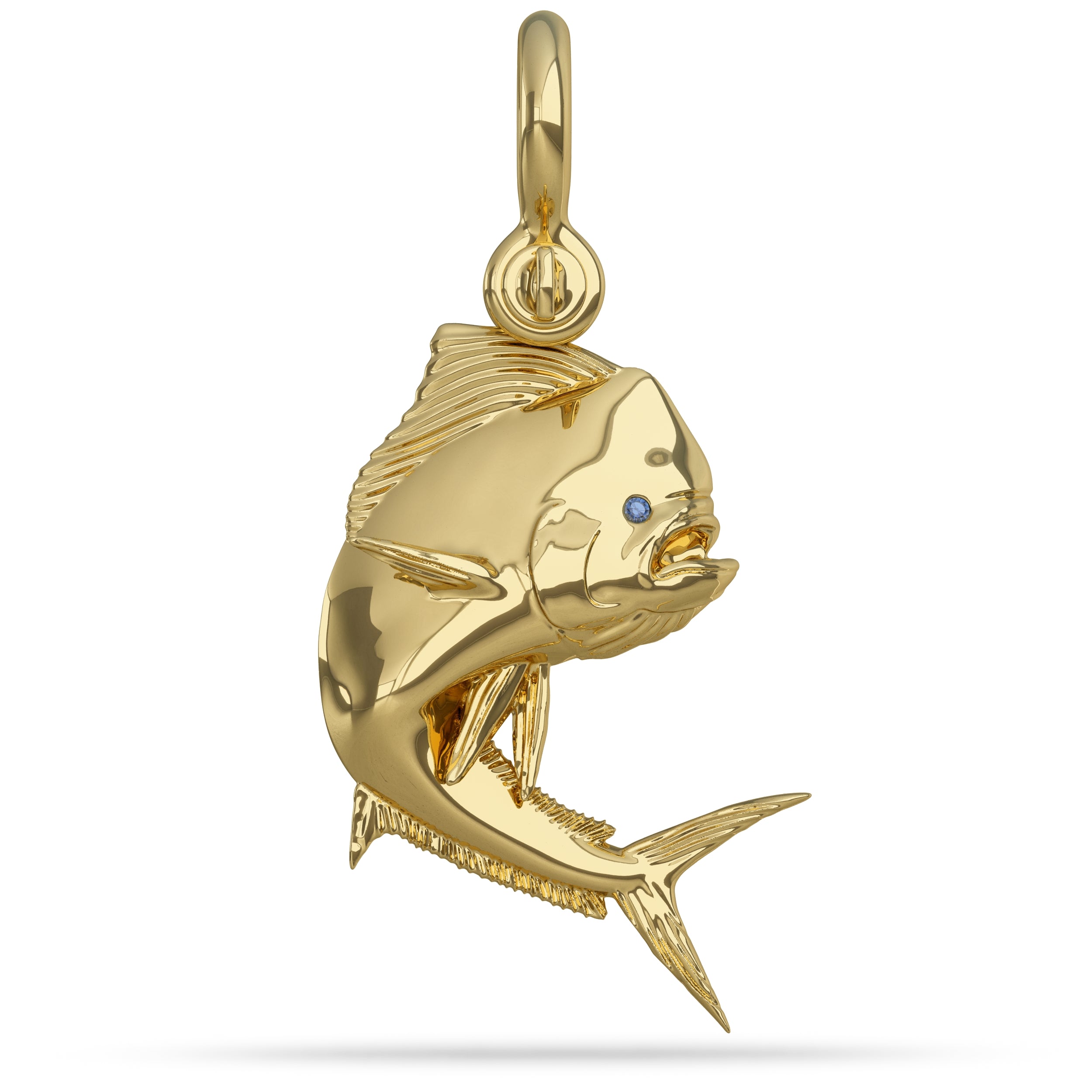 Solid 14k Gold Bull Mahi Mahi Pendant High Polished Mirror Finish With Blue Sapphire Eye with A Mariner Shackle Bail Custom Designed By Nautical Treasure Jewelry In The Florida Keys 