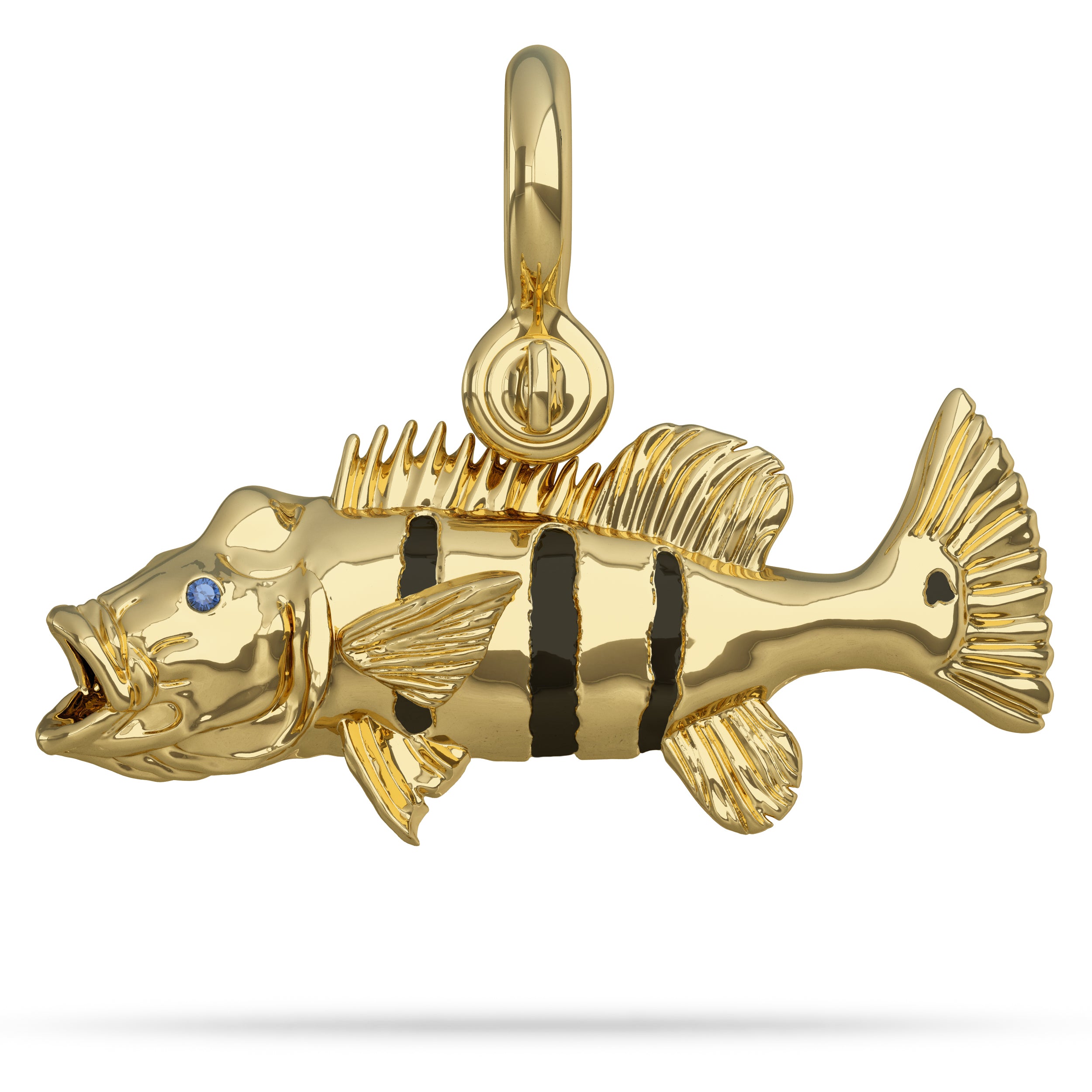 Solid 14k Gold Peacock Bass Pendant High Polished Mirror Finish With Blue Sapphire Eye And A Mariner Shackle Bail Custom Designed By Nautical Treasure Jewelry In The Florida Keys 