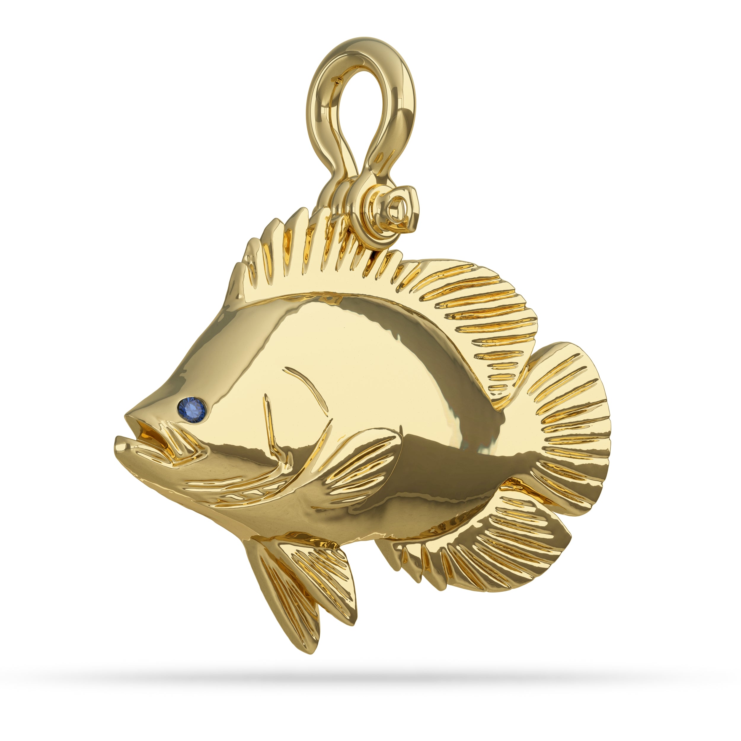 Solid 14k Gold Atlantic Tripletail Pendant High Polished Mirror Finish With Blue Sapphire Eye with A Mariner Shackle Bail Custom Designed By Nautical Treasure Jewelry In The Florida Keys Lobotes Surinamensis