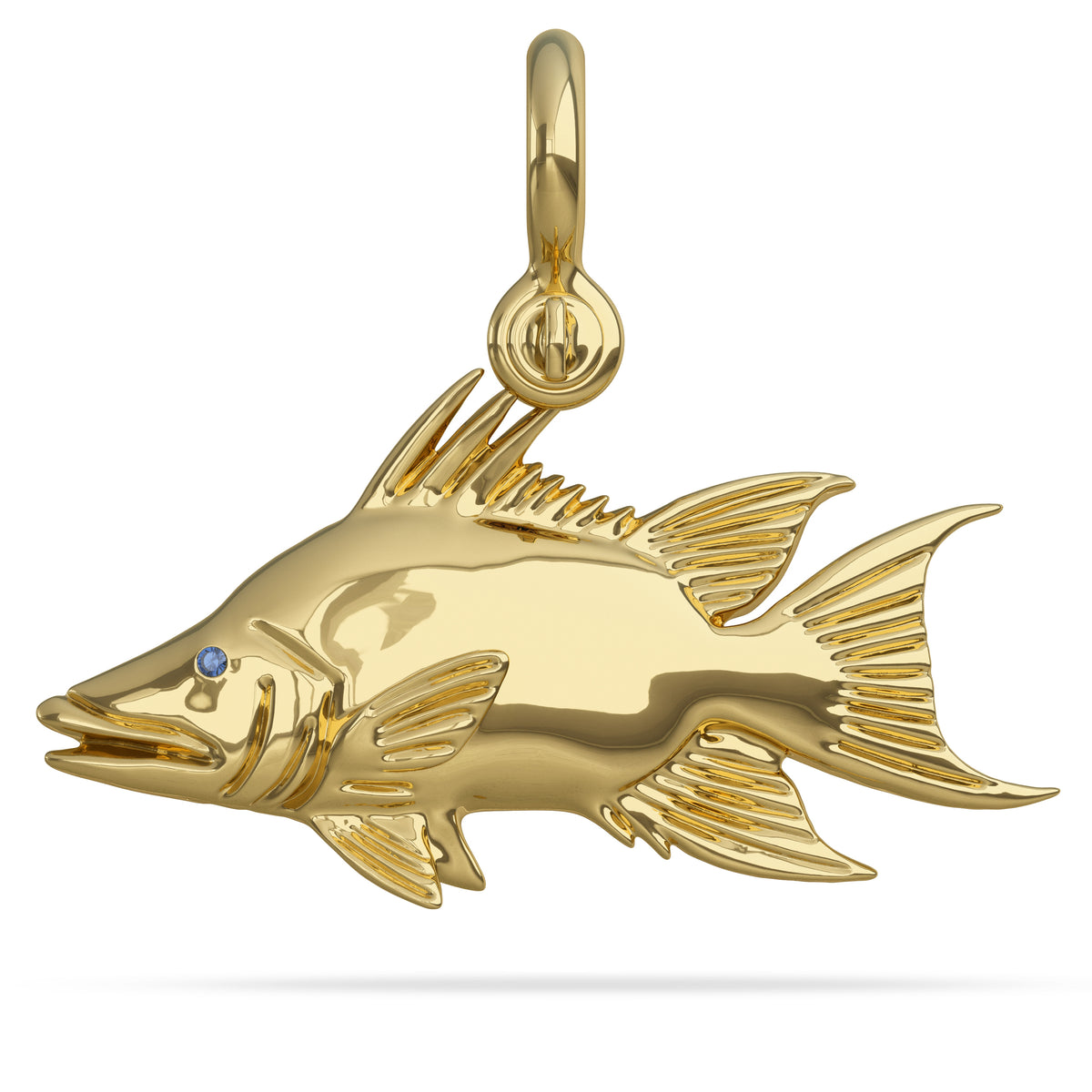 Hogfish "Bull" Pendant