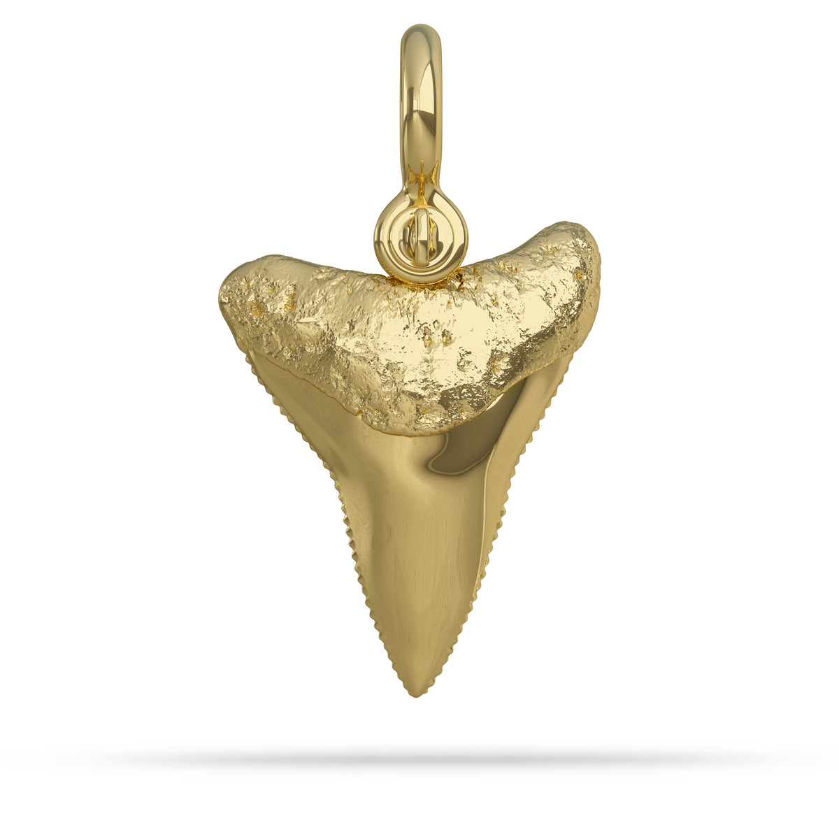 Great White Shark Tooth Pendant