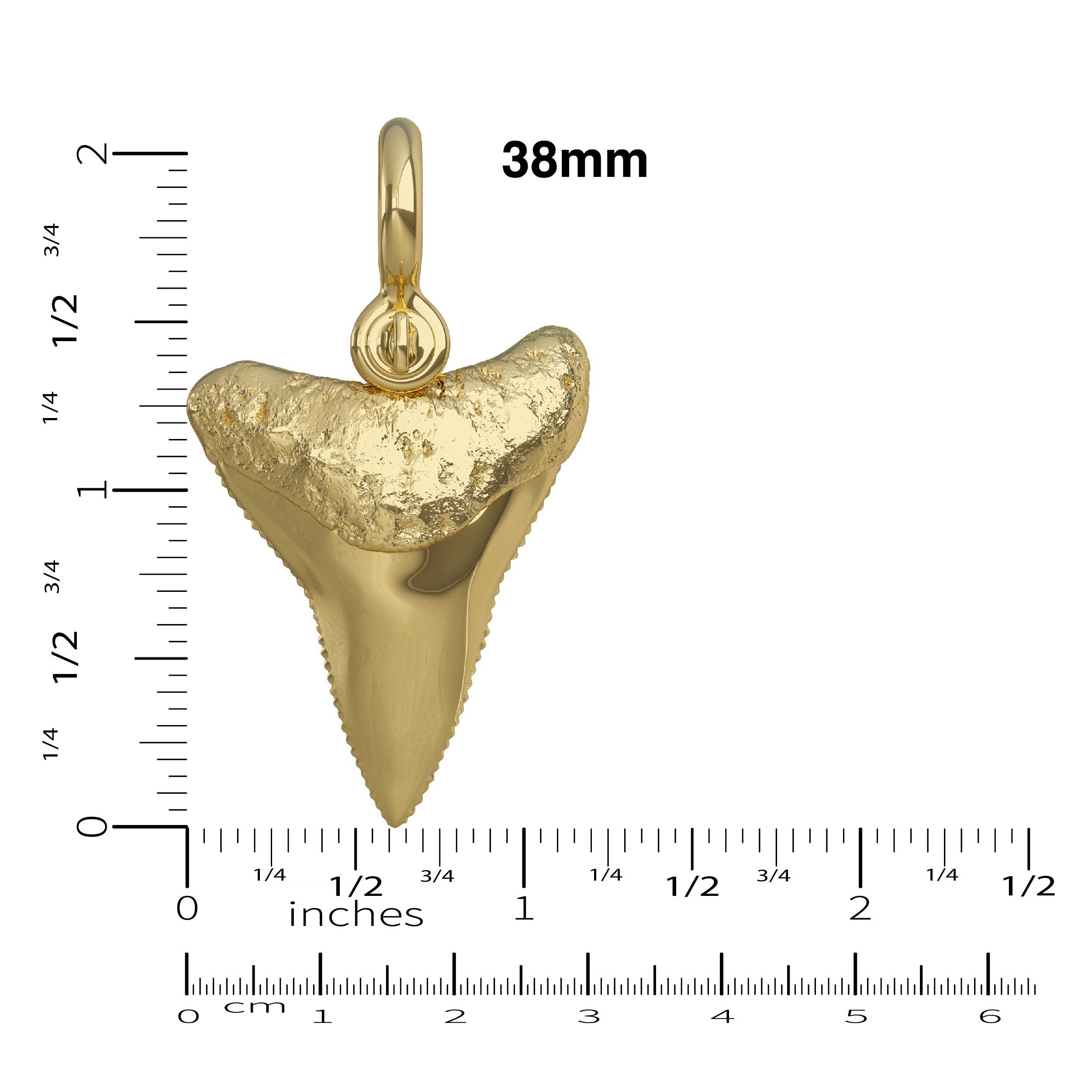 Great White Shark Tooth Pendant I Nautical Treasure Jewelry Gold 10K / 28mm (Small) / 2D (shelled) by Nautical Treasure Jewelry