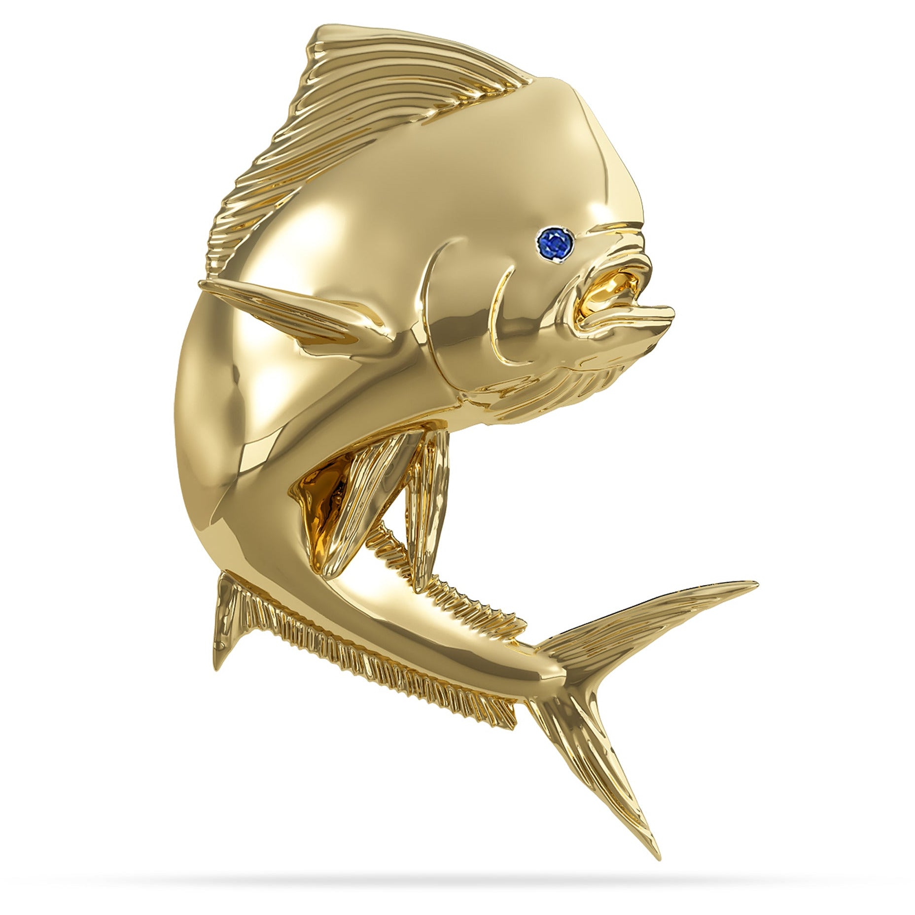 Solid 14k Gold Bull Mahi Mahi Pendant High Polished Mirror Finish With Blue Sapphire Eye with A Mariner Shackle Bail Custom Designed By Nautical Treasure Jewelry In The Florida Keys 